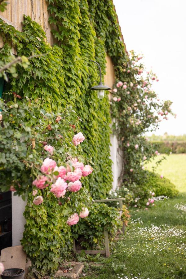 La Casa Vecchia B&B Camisano Vicentino Buitenkant foto